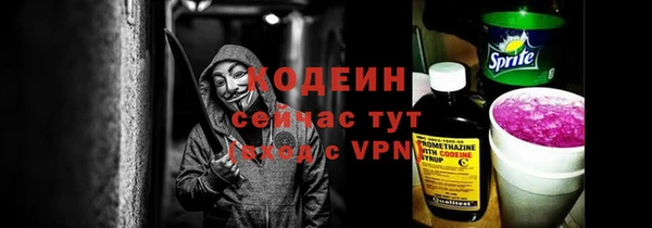 шишки Великий Новгород