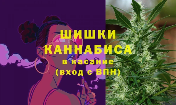соль ск Липки
