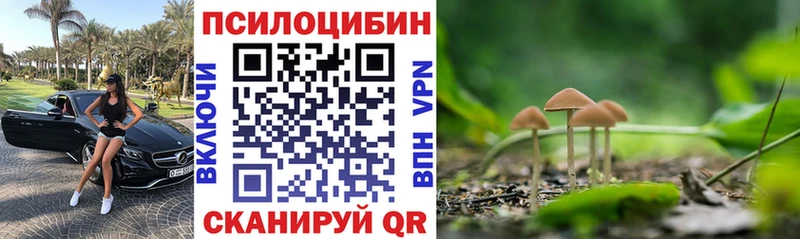 Псилоцибиновые грибы Cubensis  Петропавловск-Камчатский 
