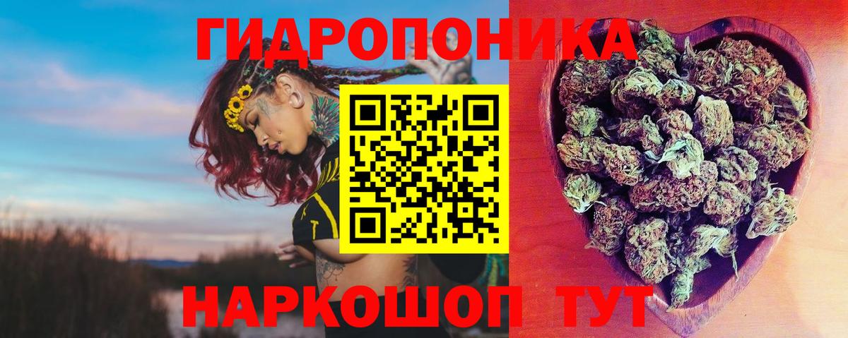 Конопля конопля Петропавловск-Камчатский
